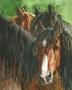  Wild Horses Of America Watercolor Exhibit To Open September 1